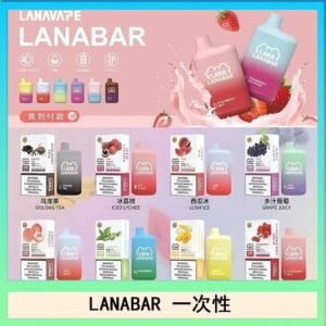 LANA BAR可充电一次性電子煙霧化5000口(3.0%)