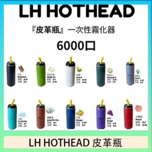 LH HOTHEAD皮革瓶電子煙可充電6000口一次性