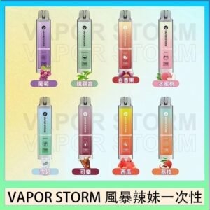 VAPOR STORM風暴辣妹一次性主機充電7500口(5%)