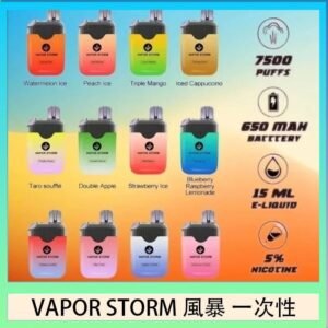 Vapor Storm風暴電子煙7500口(5%)一次性